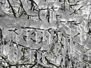 icicles for christmas tree HxTa
